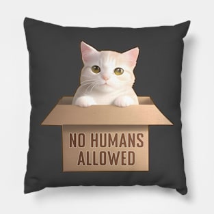 Box Cat No Humans Allowed Pillow