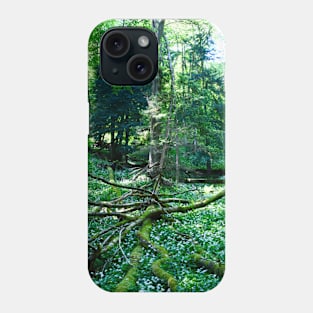 Swiss forest Phone Case