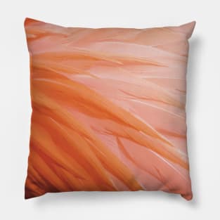 Flamingo Feathers Photograph Pillow