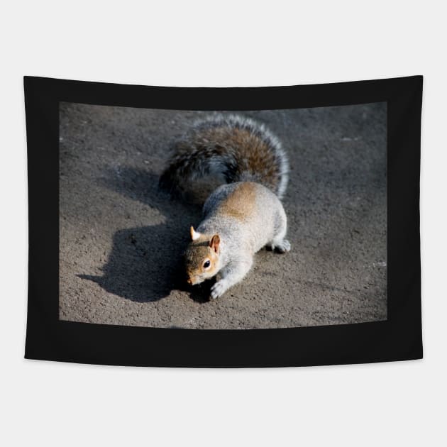 Mr Squirrel, pleased to meet you Tapestry by Ladymoose