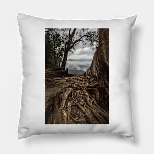 Roots Pillow