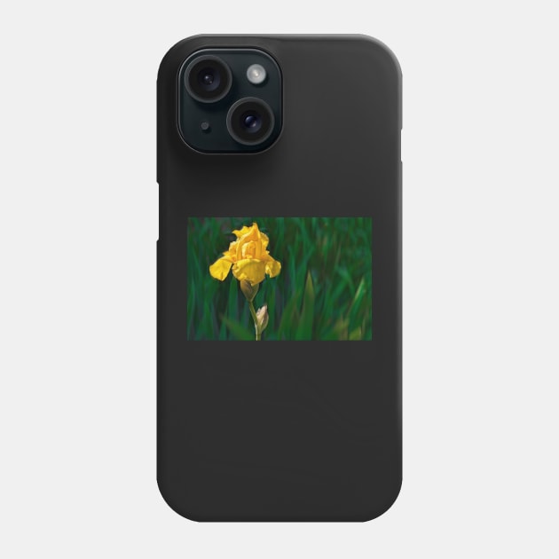 Yellow Iris photograph Phone Case by art64