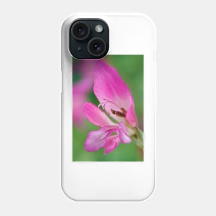 Gladiolus communis subsp. byzantinus  AGM  Byzantine gladiolus Phone Case