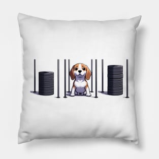 Beagle BoxFit: The Ultimate CrossFit Adventure Pillow