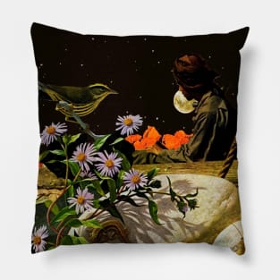 Solace In Solitude Pillow