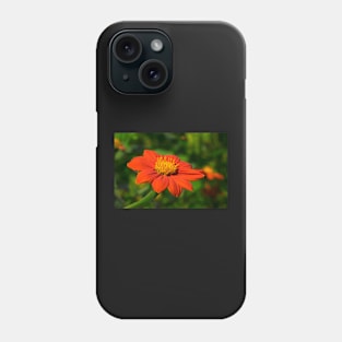 Mexican Marigold - 2 Phone Case