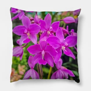 Purple Orchids (Spathoglottis plicata) Pillow