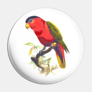 Parrot. Pin