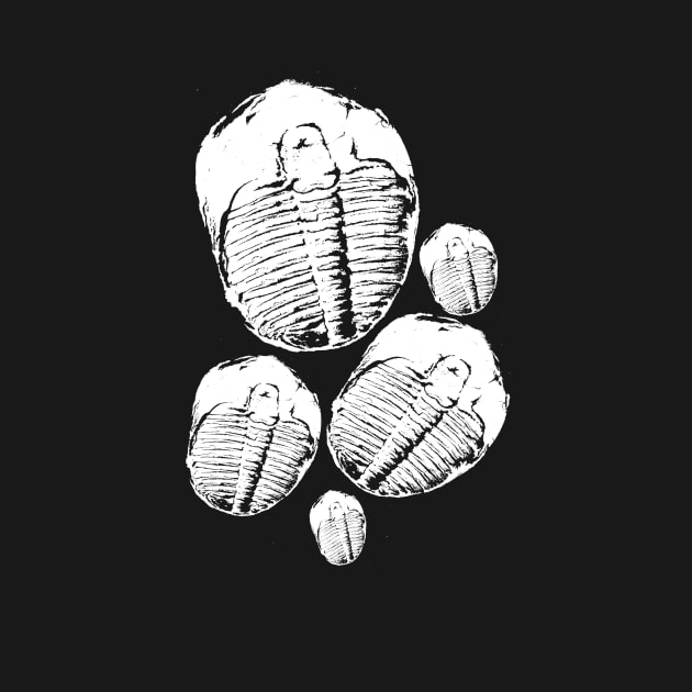 Trilobite tshirt and fun paleontology gift idea by Diggertees4u