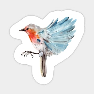 Robin flying. Robin Magnet