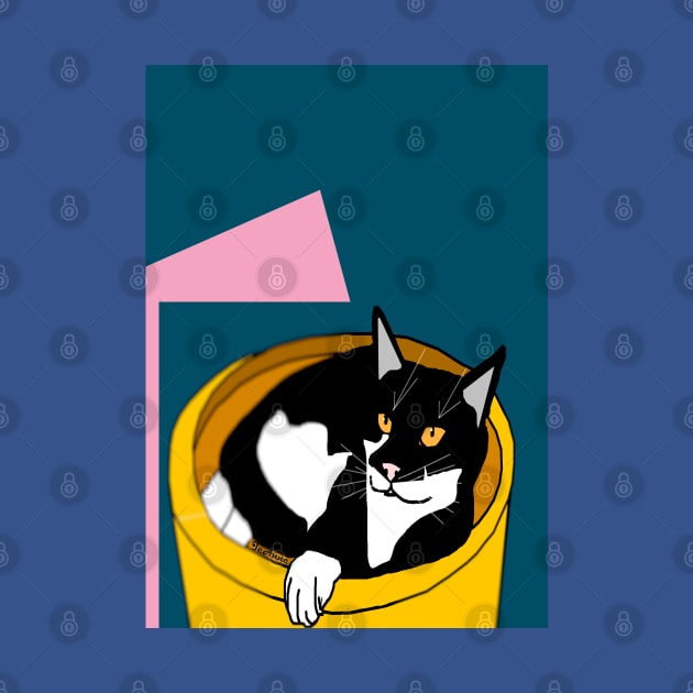 Cute Tuxedo Cat laying in a fruit bowl.  Copyright TeAnne by TeAnne