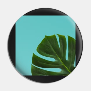 Monstera Leaf on sky ocean blue Background- Tropical Plant Vibe Pin