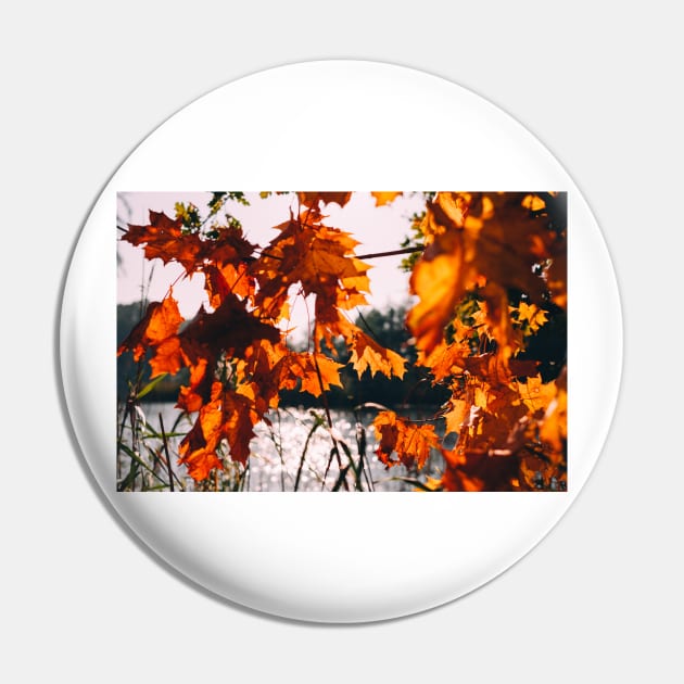 Fall Autumn Leaves Photography Pin by Art by Eric William.s