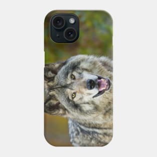 Timber Wolf Phone Case