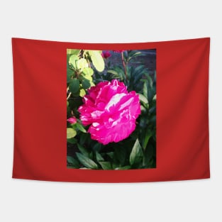 Red peony photograph Tapestry