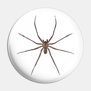 Brown Recluse Pin