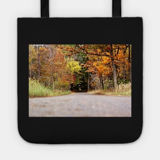 Autumn Tree Tunnel Tote