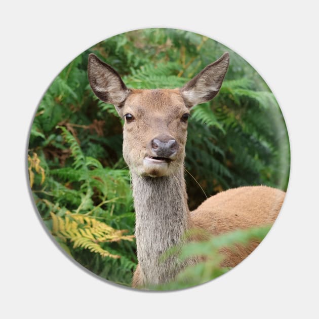 Red Deer Pin by LeanneAllen