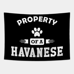 Havanese Dog - Property of a havanese Tapestry