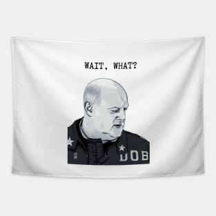 Dara O’Briain, Taskmaster, Wait, What? Tapestry