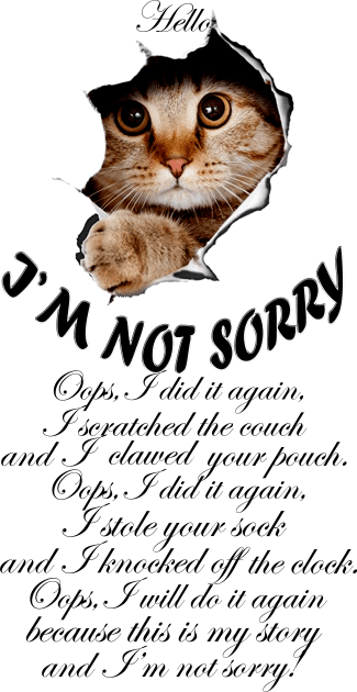 I'M NOT SORRY - Naughty cat design Kids T-Shirt by DesignersMerch