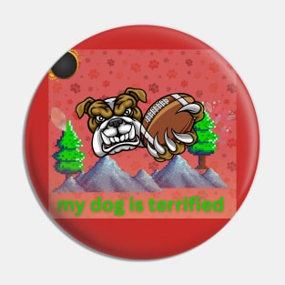 my dog is terrified Pin