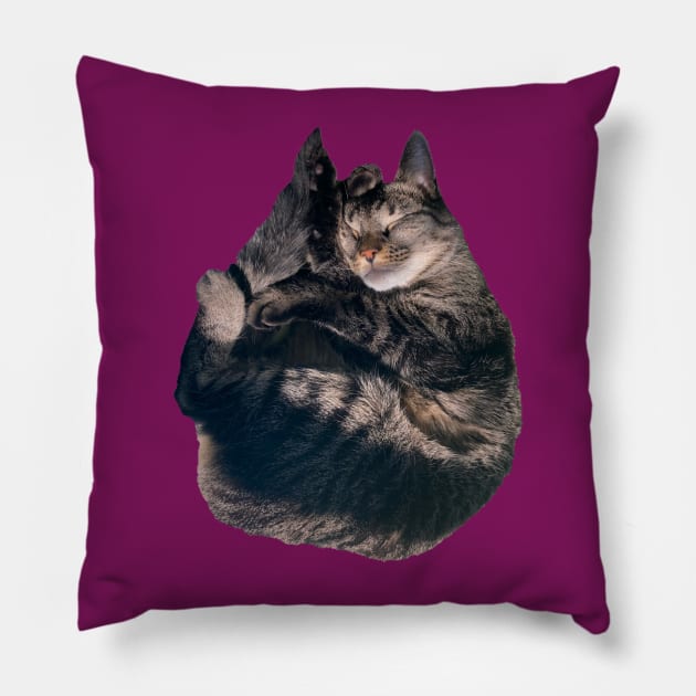 Snuggle Kitty Pillow by Amanda1775