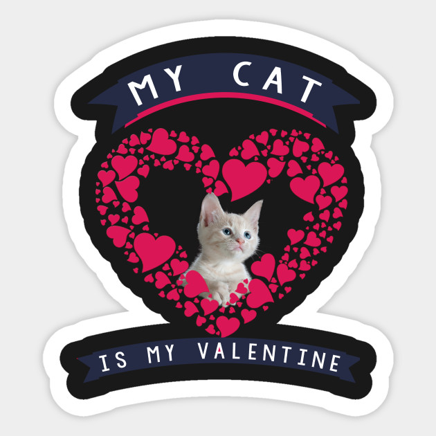 My Cat Is My Valentine Lovely Cat Happy Valentine S Day