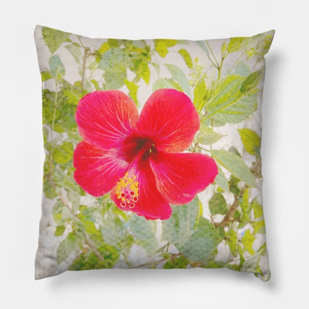 Pretty Red Flower with green leaves nature lovers beautiful photography design Pillow by BoogieCreates