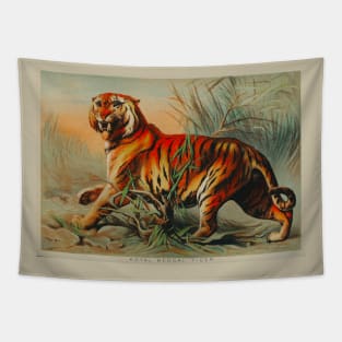 Royal bengal tiger by John Karst Tapestry