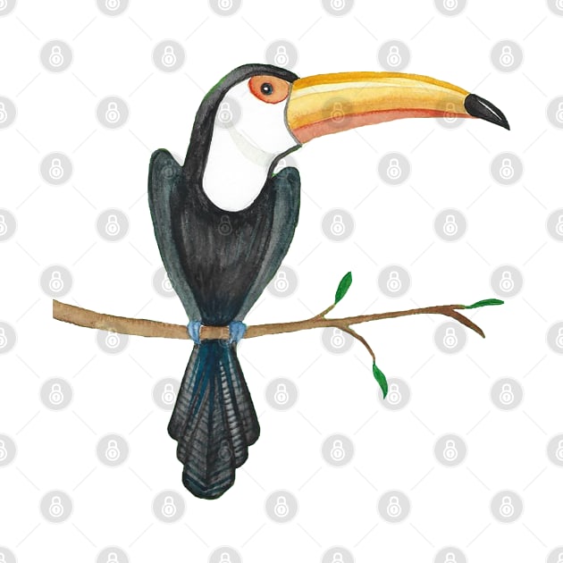 Watercolor tropical toucan design by kuallidesigns