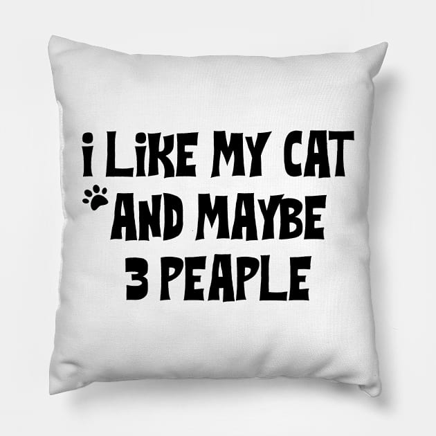 I Like My Cat And Maybe 3 People Pillow by family.d