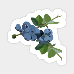 Blueberries Magnet