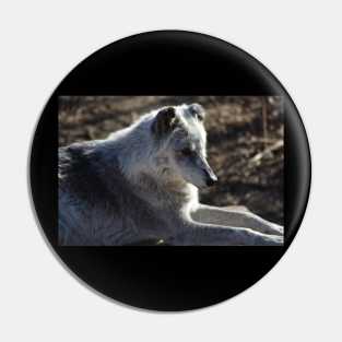 Wolf Pin