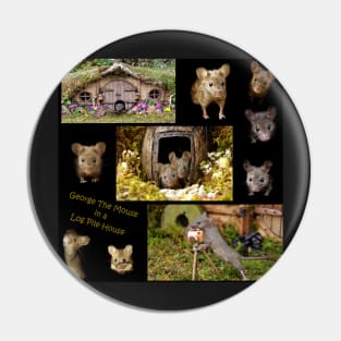 George the mouse in a log pile house large mixed images Pin