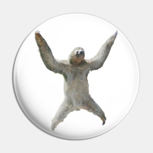 Sloth life Pin