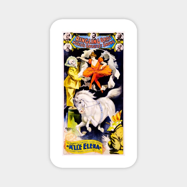 RINGLING BROS WORLD'S GREATEST SHOWS Miss Elena Vintage Circus Advert Magnet by vintageposters