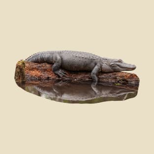 Alligator Resting on a log T-Shirt