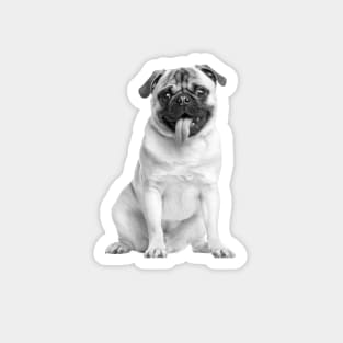 Mops 02 Magnet