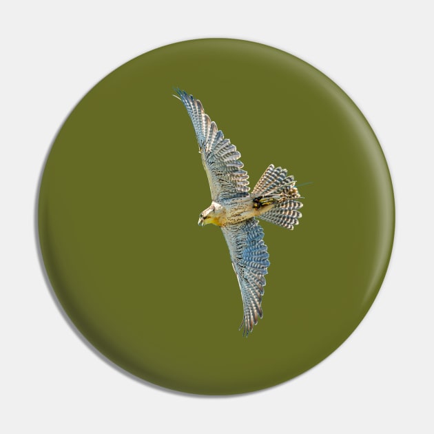 Gyr Falcon Pin by dalyndigaital2@gmail.com