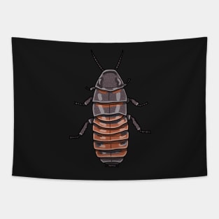 madagascar hissing cockroach (Gromphadorhina portentosa) Tapestry