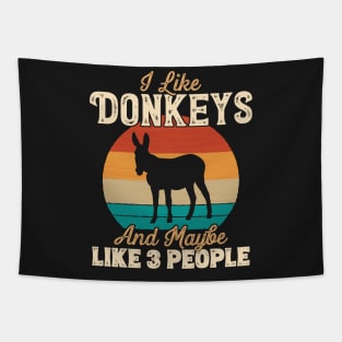 I Like Donkeys and Maybe Like 3 People - Gifts for Farmers graphic Tapestry