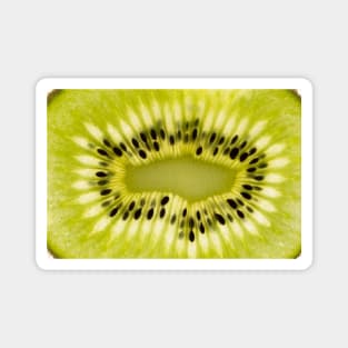 Delicious Kiwi summer fruit Magnet