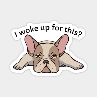 Grumpy Frenchie Magnet