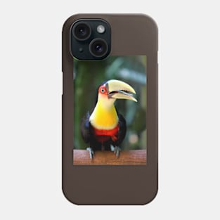 Red Breasted Toucan at Iguassu, Brazil Phone Case