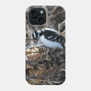 Downy Woodpecker. Phone Case