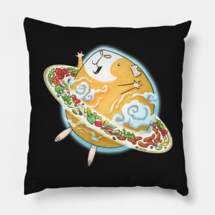 Planet Pig Pillow