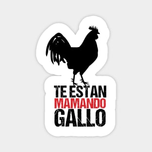 Te Estan Mamando Gallo | Colombian Saying Magnet