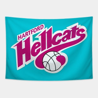 Defunct Hartford Hellcats CBA Basketball 1993 Tapestry