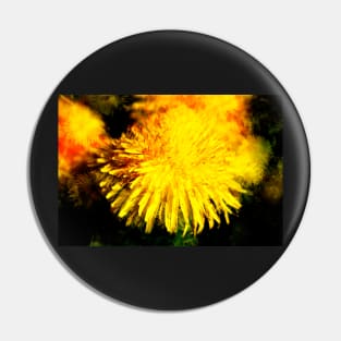 Dandelion blossom, abstract, macro shot, dandelion, flower Pin